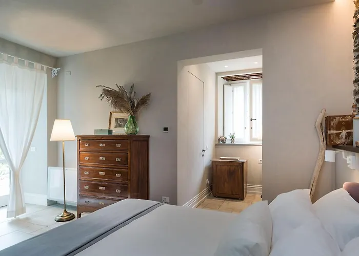 Zenzero 卡普多兰多