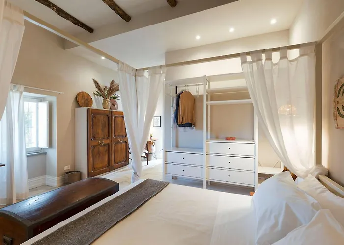 Zenzero 卡普多兰多